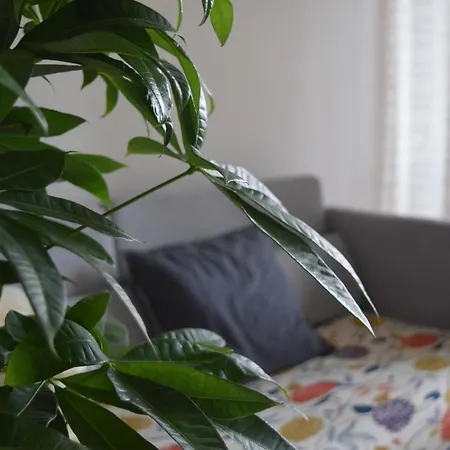 Apartment Residenza Lo Caserta
